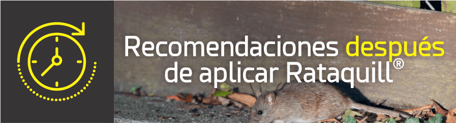 Raticida rataquill de 20 gramos – Do it Center